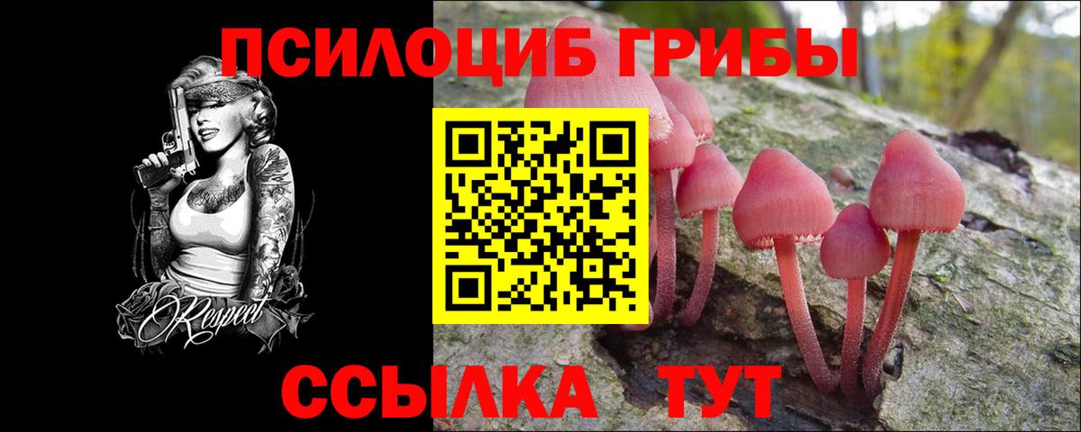 Мефедрон  ГАШ  МЕФ кристаллы  Cocaine  Камень-на-Оби  LSD-25  Гашиш  Вход с VPN  Конопля 