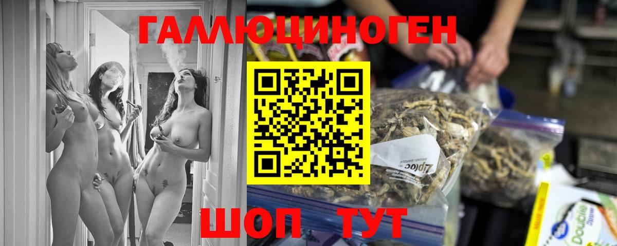 Псилоцибиновые грибы ЛСД Камень-на-Оби